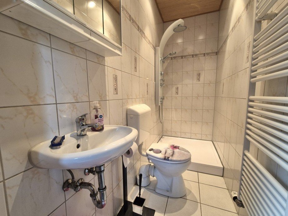 (11) Im weiteren Verlauf betreten Sie dieses G�ste-WC inkl. Dusche Doppelhaush�lfte Bottrop / Ebel