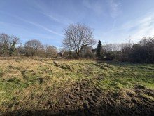 (5) Weitere Impression von der derzeitigen Grundst�cksbeschaffenheit iTH: Wohnen im Gr�nen - ca. 1.951 qm Grundst�cksfl�che in Oberhausen-Schmachtendorf!