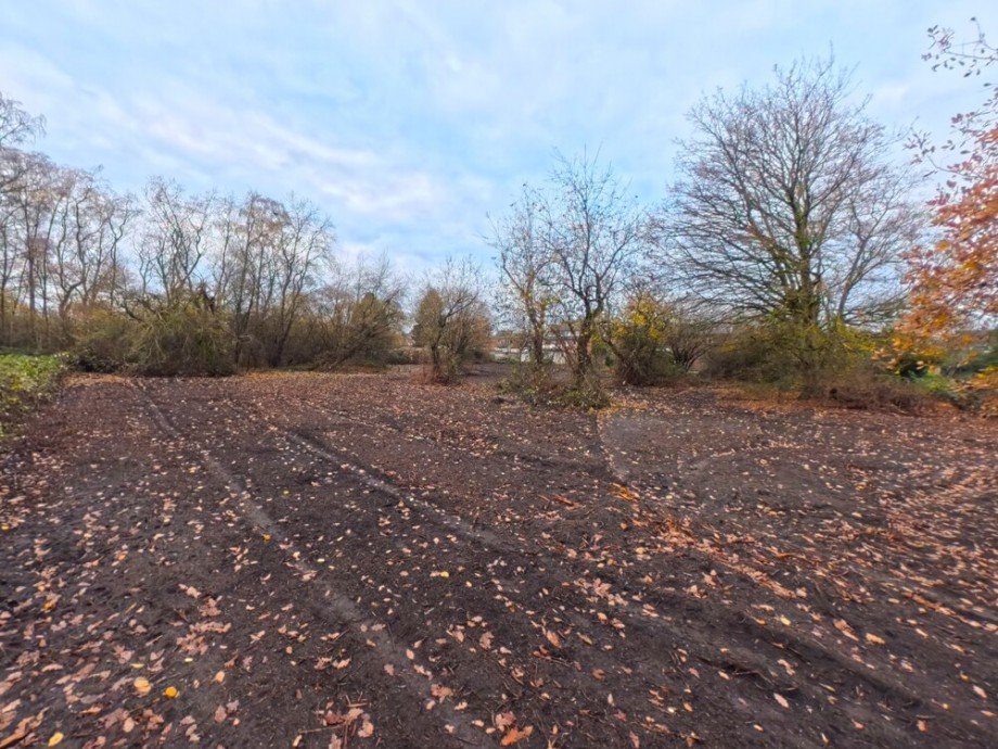 (7) Der Blick zur hinteren Grundst�cksgrenze Wohngrundst�ck Oberhausen / Sterkrade-Nord