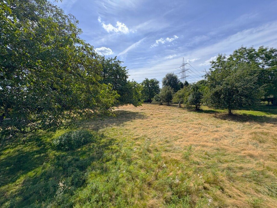 (41) Ein Blick auf das park�hnliche Grundst�ck der Liegenschaft Einfamilienhaus Bottrop / Grafenwald