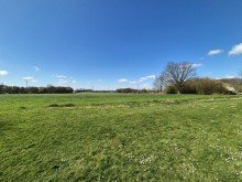 (13) Ihr einzigartiger Ausblick in die unmittelbar angrenzende Natur *VERKAUFT*