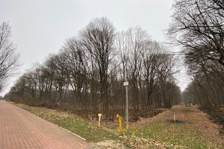 (24) Die zahlreichen Gr�nfl�chen sind Fu�l�ufig schnell zu erreichen Dachgeschosswohnung Oberhausen / Sterkrade-Mitte